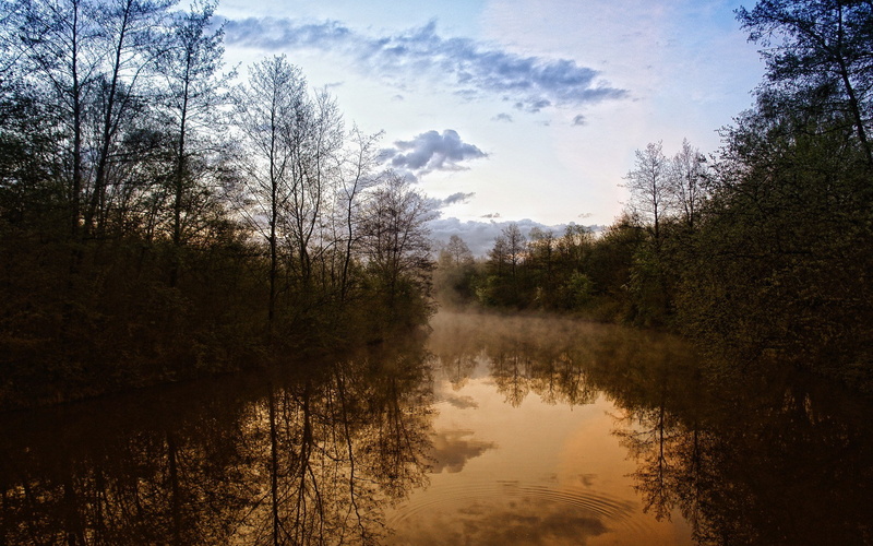 cool background pictures nature 1920x1200, 1080P