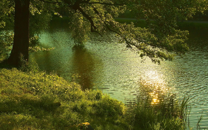 1080P, cool background pictures nature 1920x1200