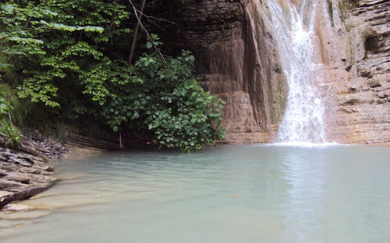 tree, scenics - nature, land, rock, 1080P, tranquility, flowing water, flowing, plant, water, day, beauty in nature, rainforest, no people, growth, falling water