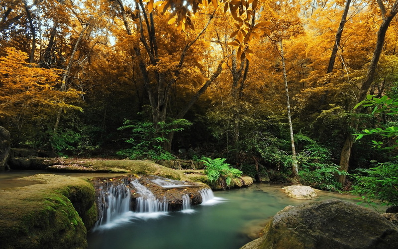 cool background pictures nature 1920x1200, 1080P