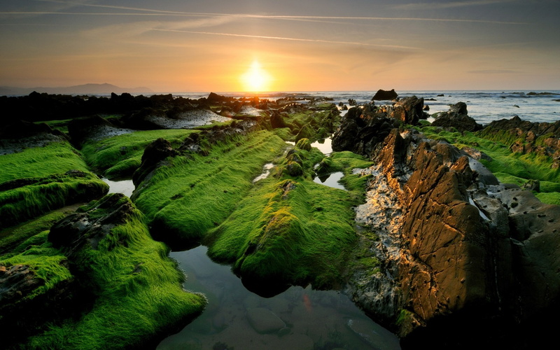 1080P, cool background pictures nature 1920x1200