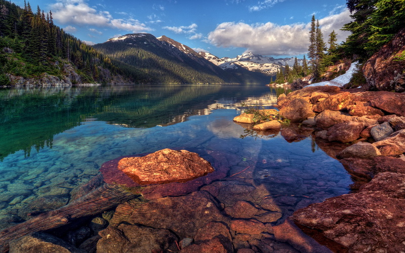 cool background pictures nature 1920x1200, 1080P