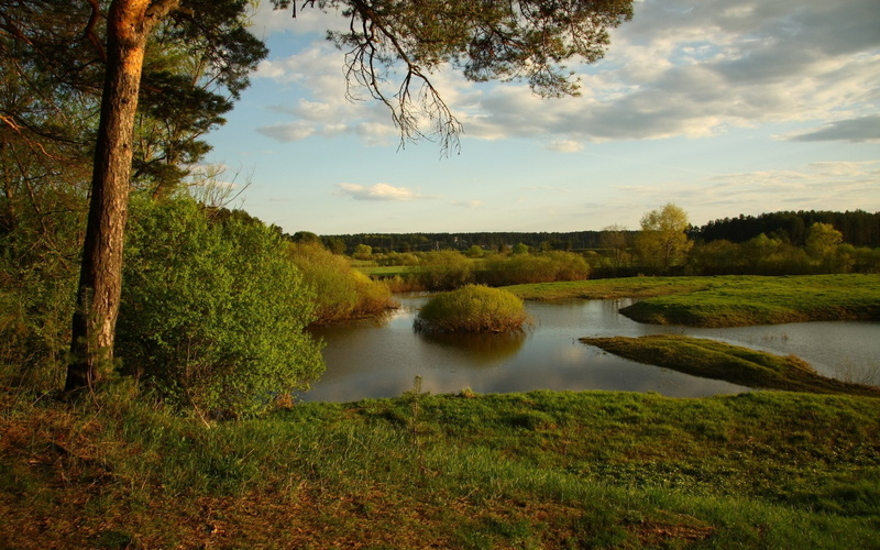 nature, grass, plant, outdoors, tranquil scene, tranquility, cool background pictures nature 1920x1200, no people, tree, reflection, lake, growth, scenics - nature