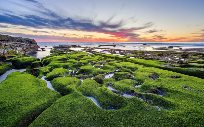 beach, bay, beauty in nature, sea, tranquility, water, horizon, grass, nature, nature background pictures hd  1920x1200, green color, sunset, horizon over water