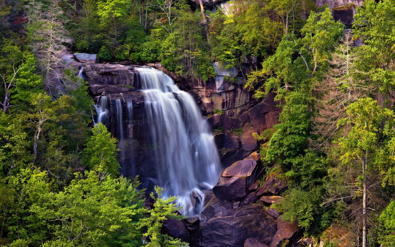 motion, non-urban scene, no people, tree, image background nature hd image 1920x1200, outdoors, rainforest, falling water, nature, environment, scenics - nature