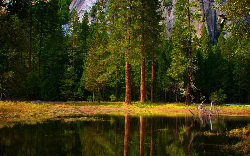 image background nature hd 1920x1200, 1080P