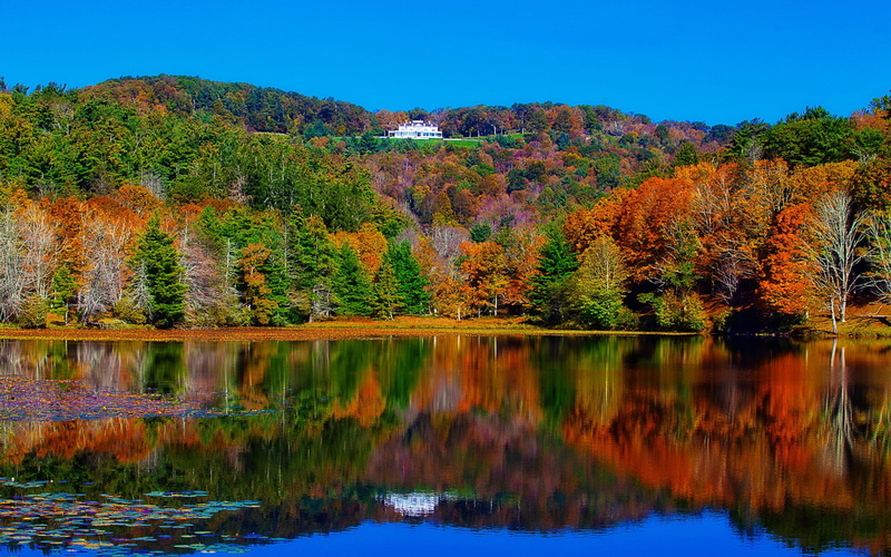background image hd nature scene 1920x1200, 1080P