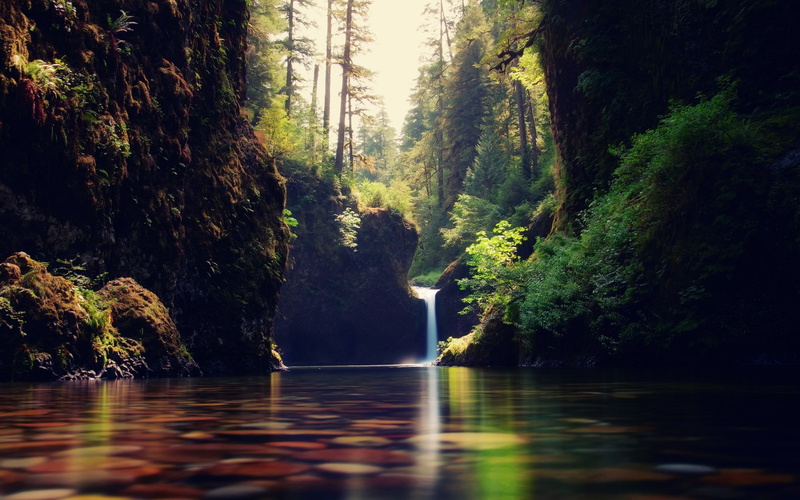 1080P, background image hd nature scene 1920x1200