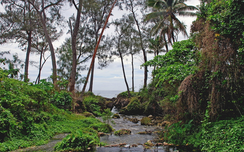 1080P, image background nature hd image 1920x1200