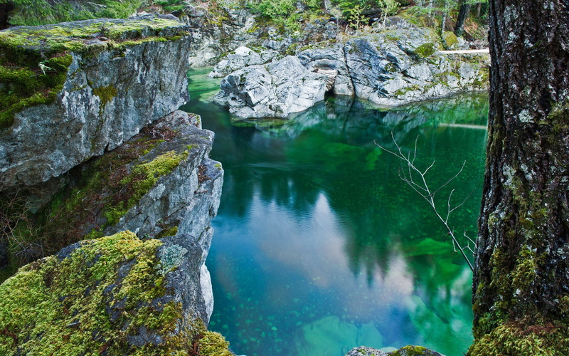 rainforest, 1080P, no people, solid, water, beauty in nature, forest, reflection, tranquility, non-urban scene, plant, lake, eroded, land, tranquil scene