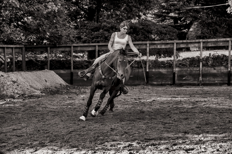 sports, foal, animal, leisure activity, lifestyles, land, railing, people, young men, sport, colt horse, human, growth, woman, polo, team, one person, equestrian