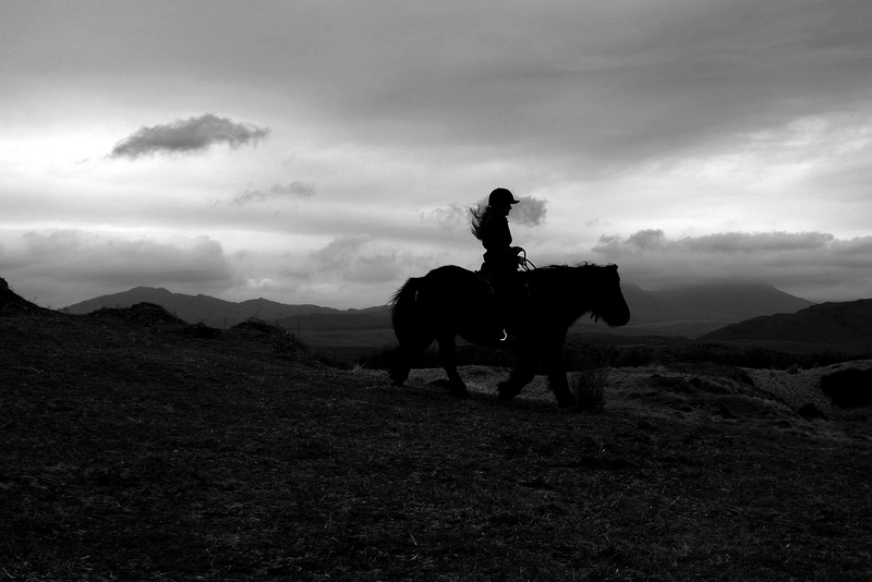 activity, silhouette, riding, equestrian, real people, dirt road, mountain range, animal wildlife, herbivorous, cloud - sky, land, 2K, ground, mountain