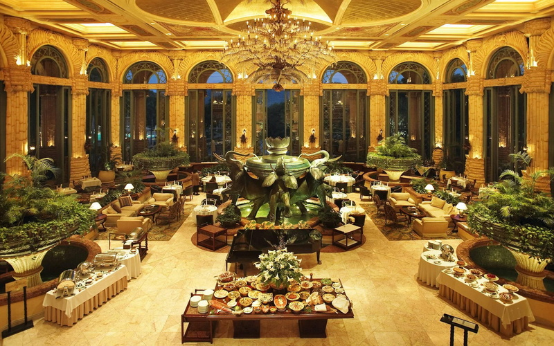 chairs, hotel, palms, food, animals, buffe, windows, lamps, tables, flowers, 1080P