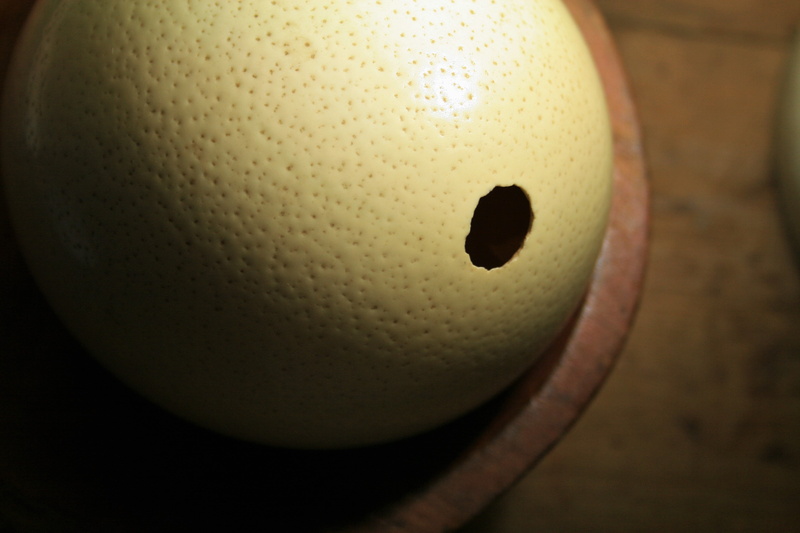 ostrich egg, sphere, dimpled, studio shot, single object, shell, indoors, healthy eating, fruit, close-up, focus on foreground, ball, egg, yellow, sport