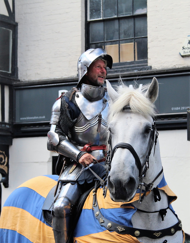 animal wildlife, costume, bridle, mode of transportation, pets, parade, working animal, real people, riding, 2K, domestic, building exterior, medieval