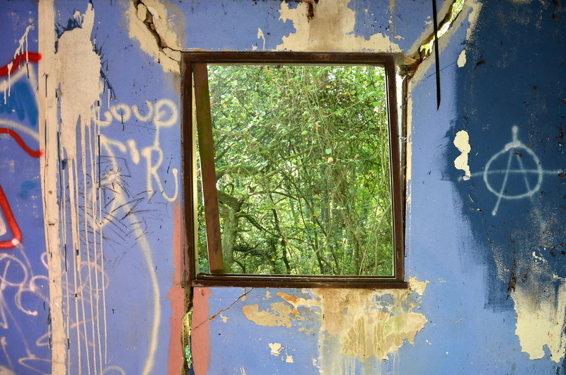 graffiti, art and craft, 4K, surrealist, design, day, landscape, no people, green color, glass - material, tag, creativity, outdoors, trees, blue, green