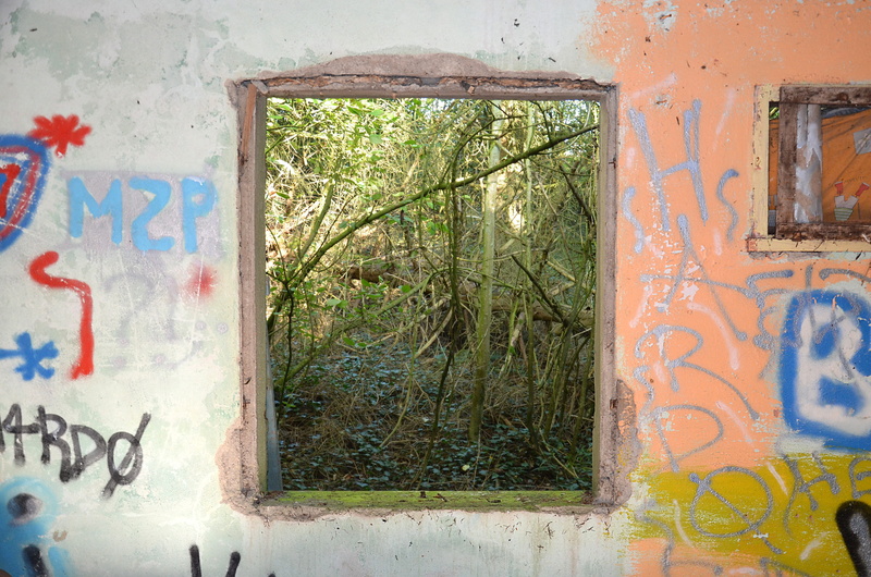 squat, surrealist, landscape, 4K, deterioration, multi colored, building exterior, graffiti, atmosphere, environment, creativity, window, plant, text
