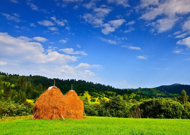 trees, field, hay, stack, MOP, 2K, Romania, clouds, the sky, hills, forest, mountains