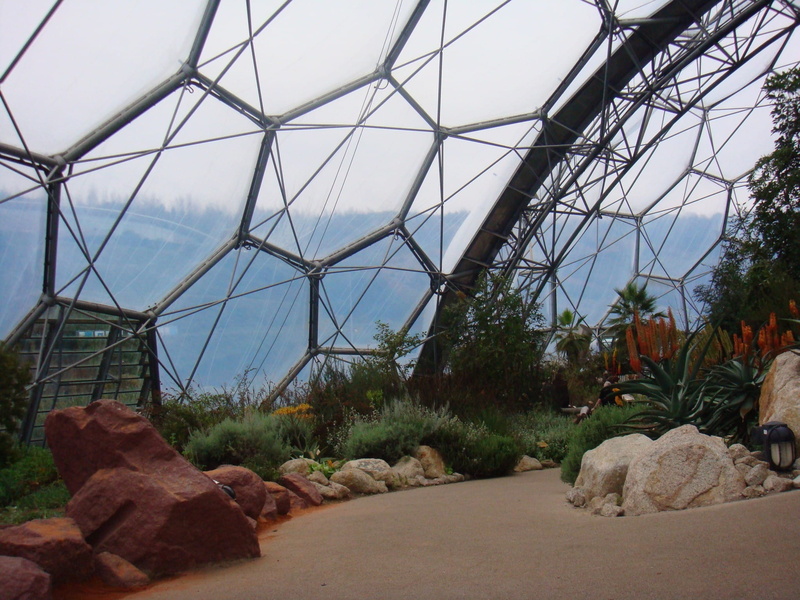 close-up, garden, Plants, growth, conservation, tree, day, nature, 1080P, project, architecture, sky, dome, Greenhouse, glasshouse, built structure, rock - object