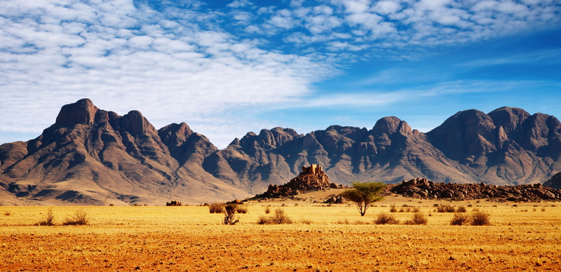animal themes, famous Place, tourism, tranquil scene, desert, dry, remote, beautiful landscape, nature, widescreen, national Park, sunlight, mountain Range