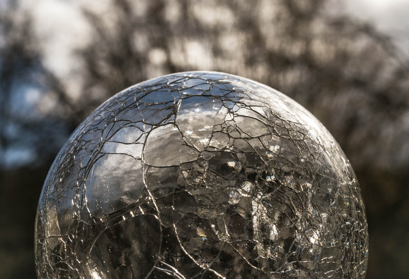 close-up, fortune teller, sunlight, tree, cracked, history, 5K, day, occultism, pattern, round, no people, photo, old, science, see, glass, ball, spiritism
