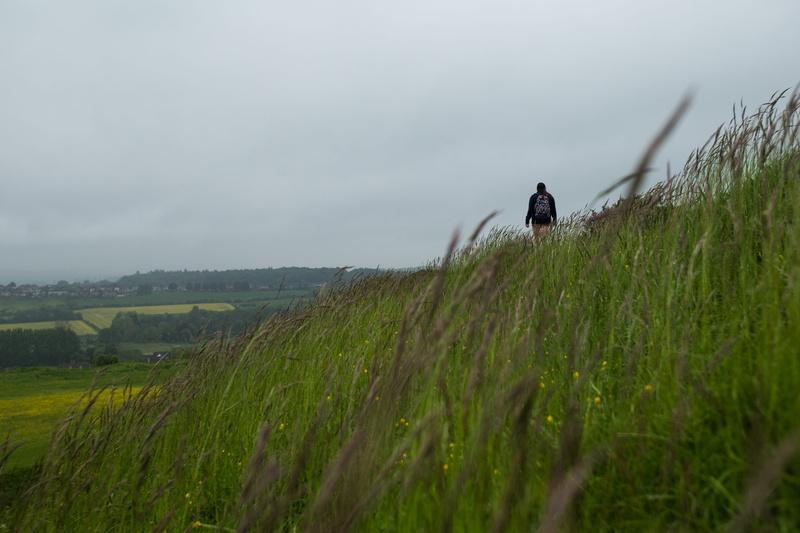 wildflowers, old sarum, backpack, tranquility, trails, leisure activity, environment, cloudy, tranquil scene, land, green color, field, explore, adventure
