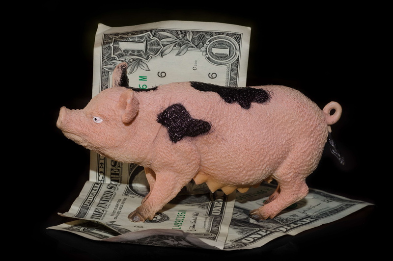 wealth, currency, representation, making money, business, dollars, indoors, studio shot, money, 4K, finance, communication, success, economy, paper currency