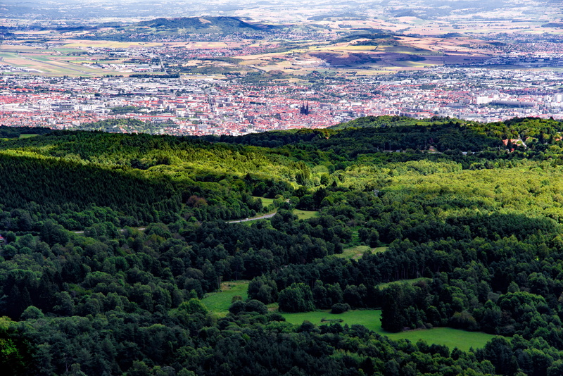 5K, tranquility, foliage, clermont, no people, europe, green color, day, forest, environment, land, field, panorama, nature, beauty in nature, growth