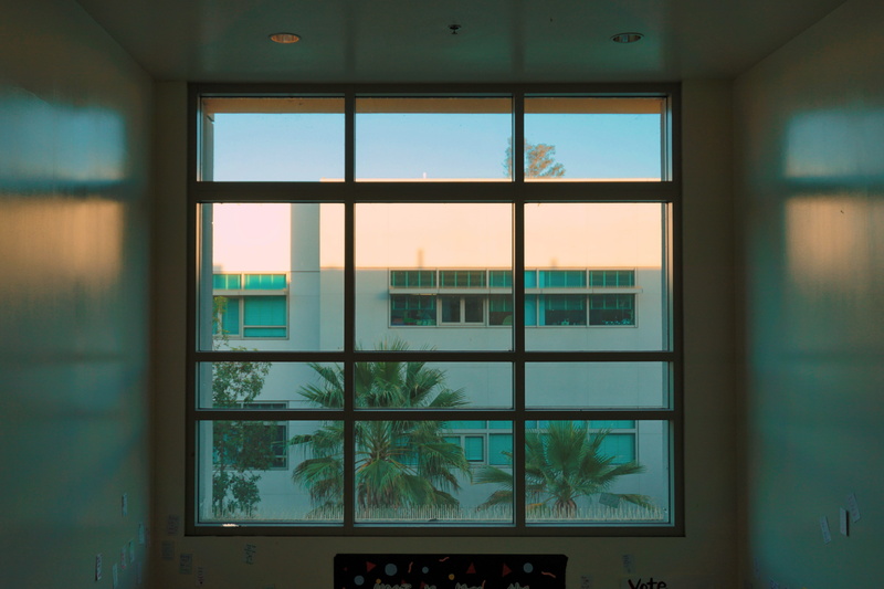 sony, school, window frame, picture window, palm trees, urban, built structure, window, keyboard, nature, shape, 5K, green color, hardware, door, computer