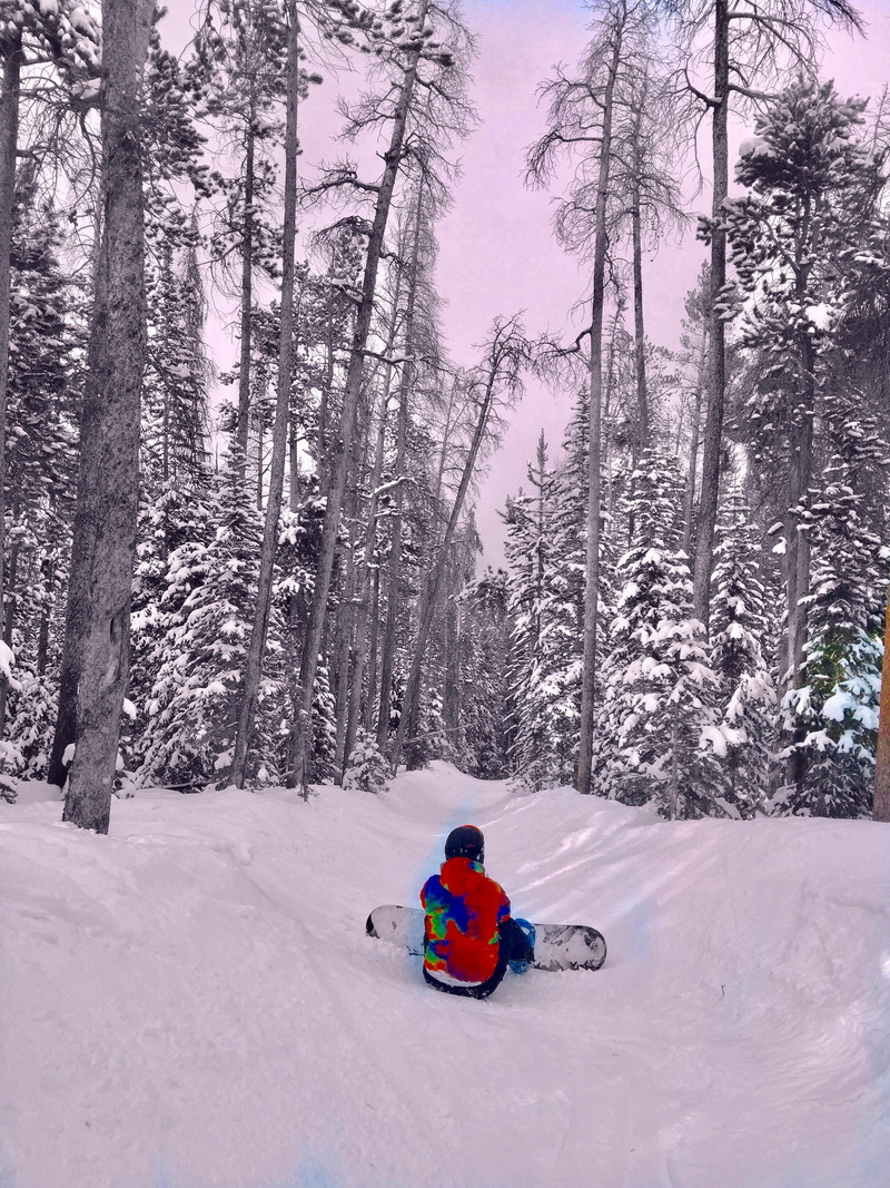 2K, men, childhood, lifestyles, land, outdoors, leisure activity, winter, plant, beauty in nature, tree, day, one person, dillon, united states, snow