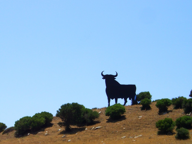 animal themes, plant, standing, mammal, no people, animal wildlife, osborne, one animal, land, copy space, clear sky, day, spain, tree, nature, livestock