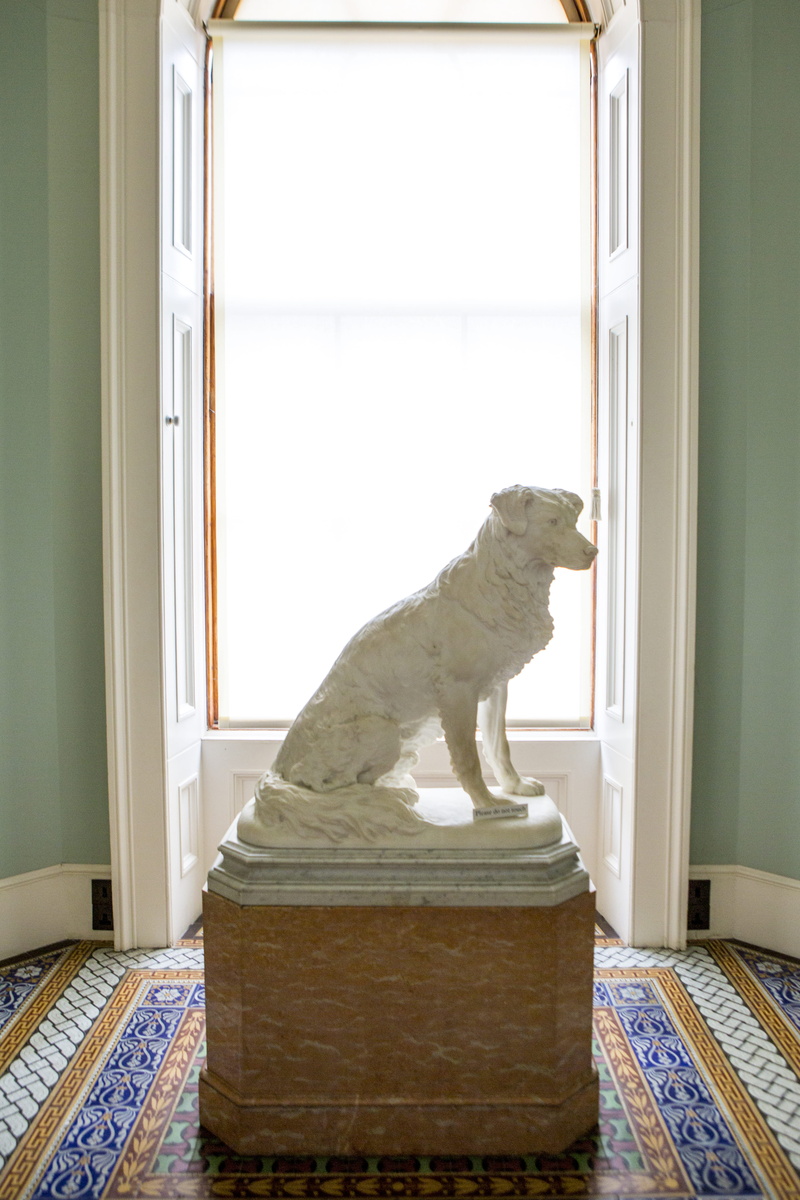 day, animal, full length, dog statue, indoors, window, domestic animals, mammal, no people, osborne house, canine, small, sitting, pets, white color, 5K