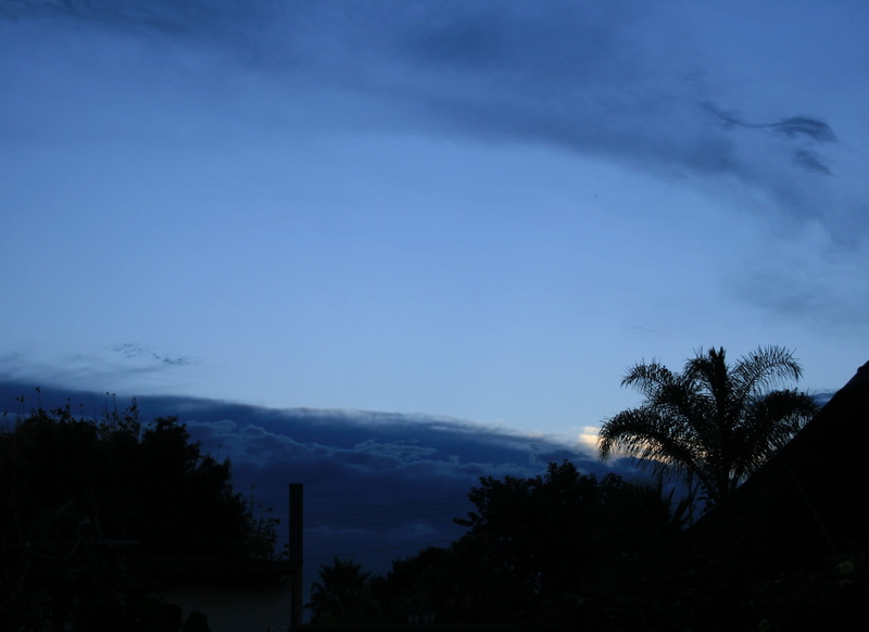 scenics - nature, beauty in nature, dusk, 2K, cloud - sky, blue shades, tranquil scene, trees, Sky, growth, palm tree, Clouds, blue, no people, sky, tranquility