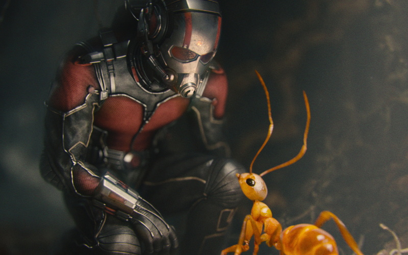 craft, toy, ant, human representation, film, antman, 4K, close-up, protection, metts, robot, representation, marvel, art and craft, focus on foreground