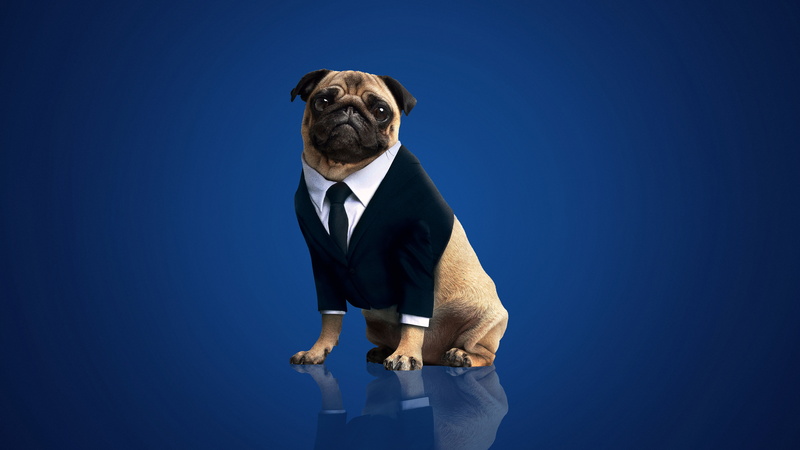 Movie, Men in Black: International, Frank the Pug, 5K
