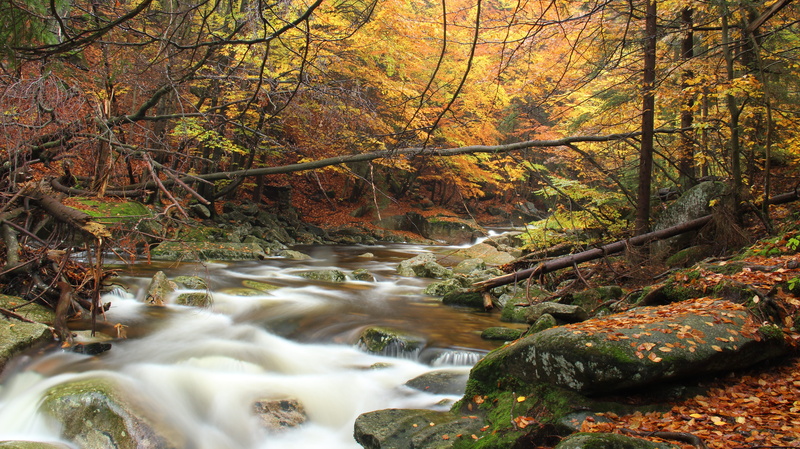 tranquility, long exposure, landscape, harrachov, scenics - nature, tranquil scene, river, land, beauty in nature, no people, 5K, plant, motion, change