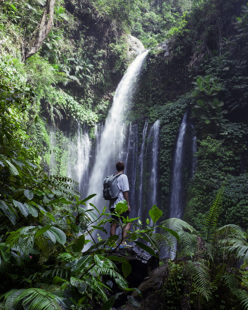 long exposure, rainforest, tree, waterfalls, flowing, green color, rock - object, flowing water, solid, falling water, blurred motion, nature, man, plant
