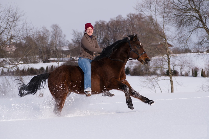 animal themes, speed, outdoors, activity, riding, white color, pets, domestic, daytime, galloping, woman, one person, people, human, reiter, 2K, winter