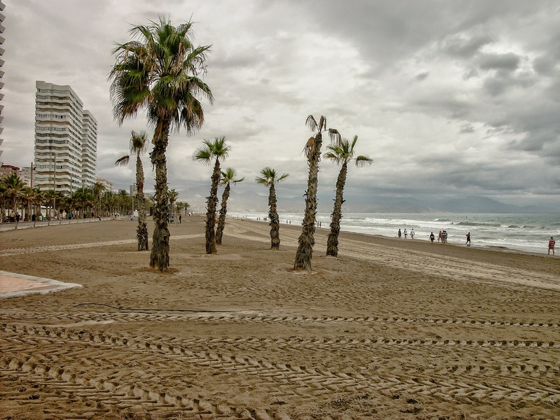 daytime, san juan beach, day, 2K, sky, beach, sand, after orchards, city, relax, waves, sea, land, tropical climate, rides, fishing, cloudy, outdoors