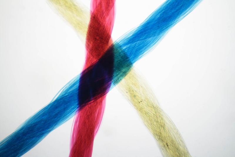 purple, fabric, string, clothing, textiles, science, silk, texture, blue, biology, fashion, abstract, variation, strands, material, quality, green color