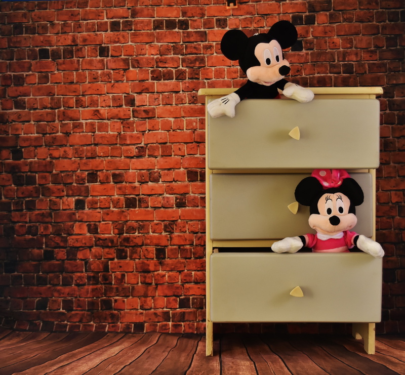male likeness, representation, brick wall, drawer, cute, panda - animal, no people, toy, mammal, human representation, plush, brick, funny, minnie, creativity