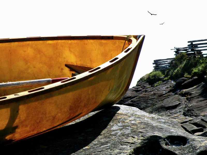 yellow, animal themes, mode of transportation, day, coastal, coast, nautical vessel, gabriola island, bank, moored, travel, nautical, edge, rowboat, micki findlay