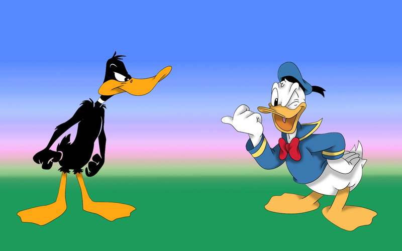 1080P, spite, backgrounds, vs, donald, intolerance, duck, hostility, desktop, daffy