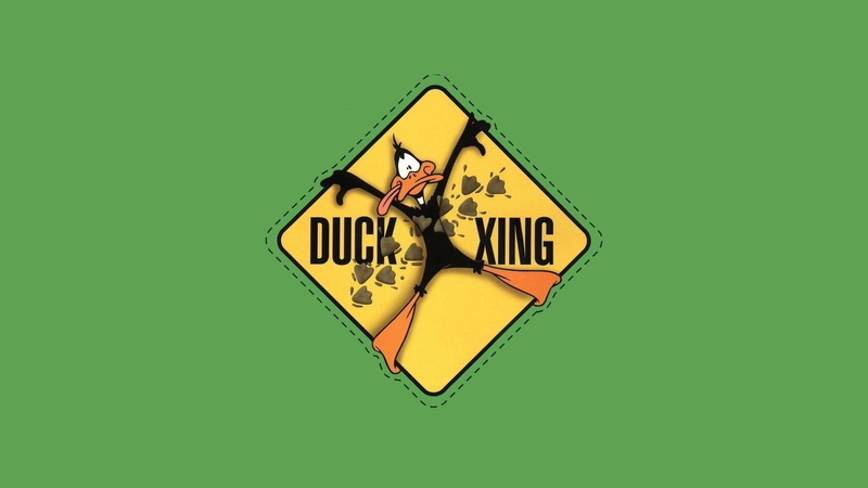1080P, daffy, duck