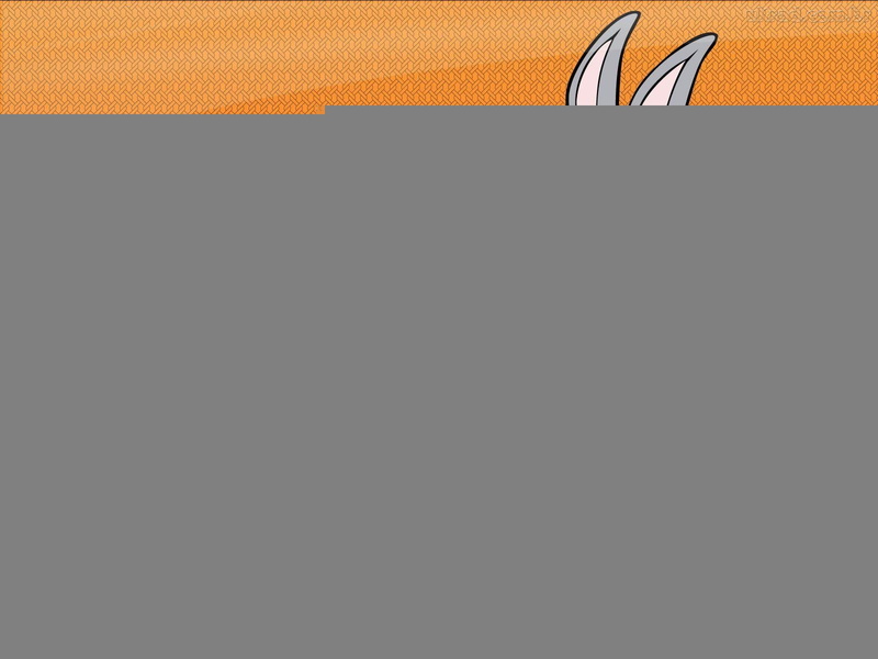 ski, boards, duck, white, gray, two, tunes, daffy, 720P, looney