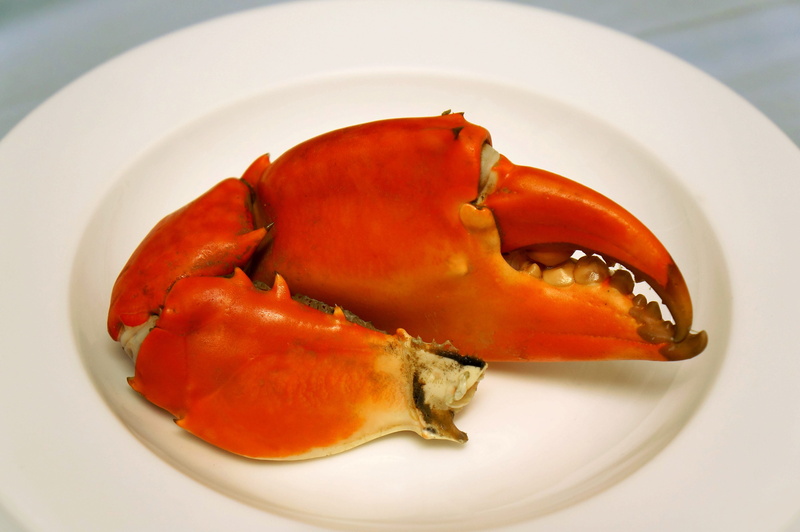 crustacean, white color, close-up, food, no people, indulgence, indoors, claw, spice, freshness, ready-to-eat, high angle view, dinner, vietnam, food and drink