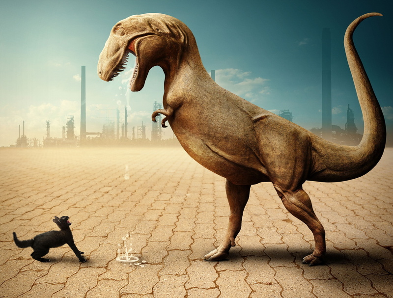 no people, black, digital, fright, building exterior, dinosaur, domestic, pets, architecture, animal themes, dog, animal wildlife, canine, mammal