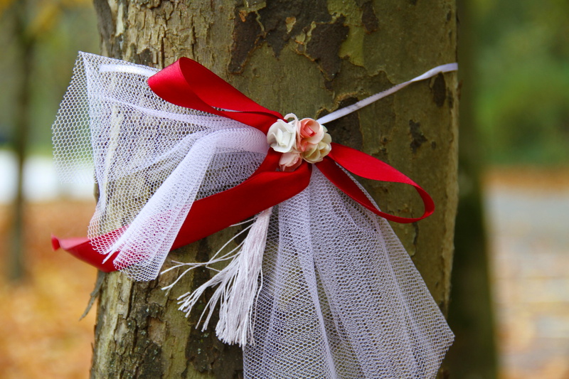 plant, background, textile, packaging loop, no people, ribbon - sewing item, celebrate, ribbon, band with flowers, leaves, loop, day, land, close-up, hanging