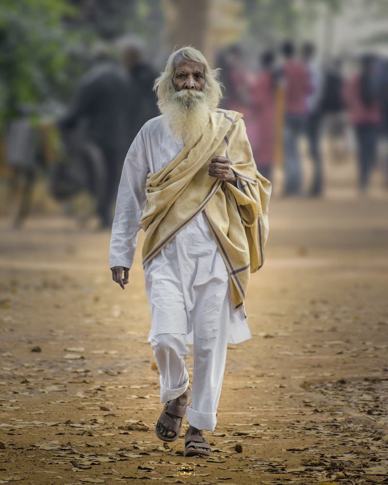 day, retired, person, park, nice, one person, male, outdoors, people, nature, man, 80s, wearing, old, senior adult, happiness, care, white, walking, incidental people