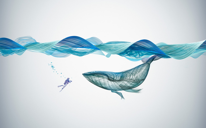 Illustration, Underwater, 2K, Creative, Whale, Graphics